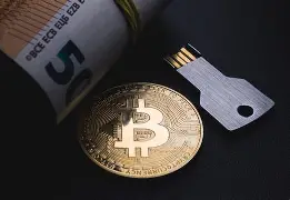 Wallet Recovery Using Seed Phrase