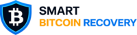 Bitcoin recovery tool